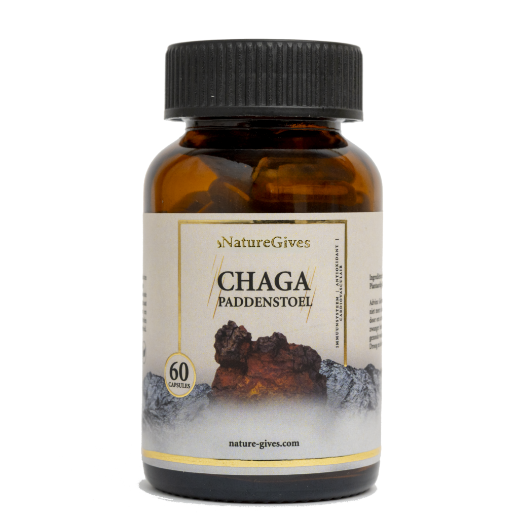 Chaga