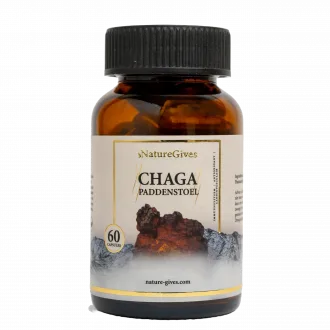 Chaga